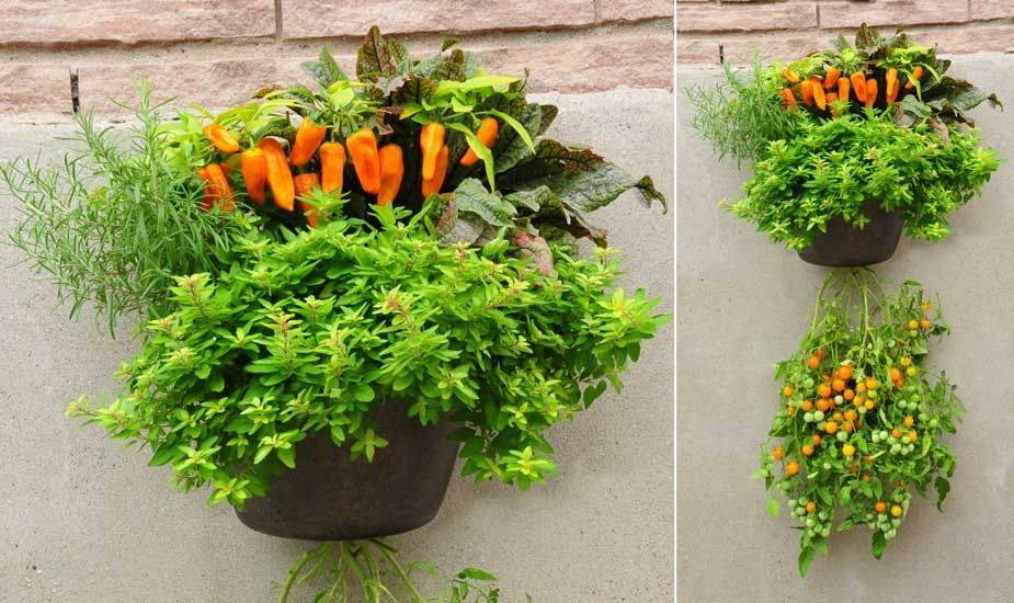 Your Garden Space