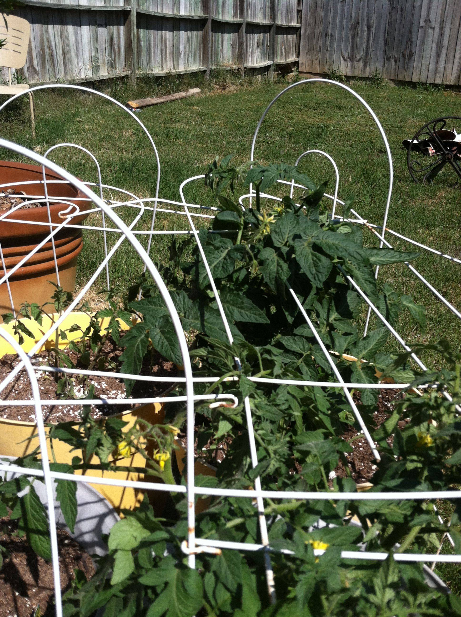Your Garden Space