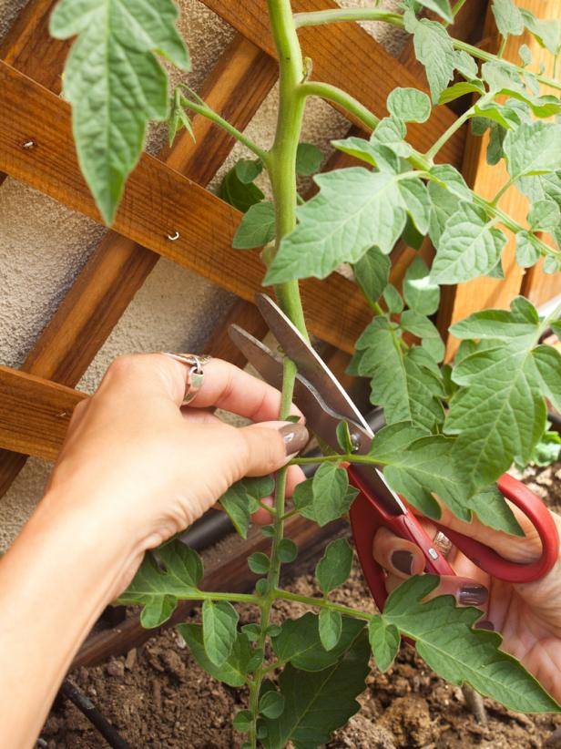 Your Garden Space