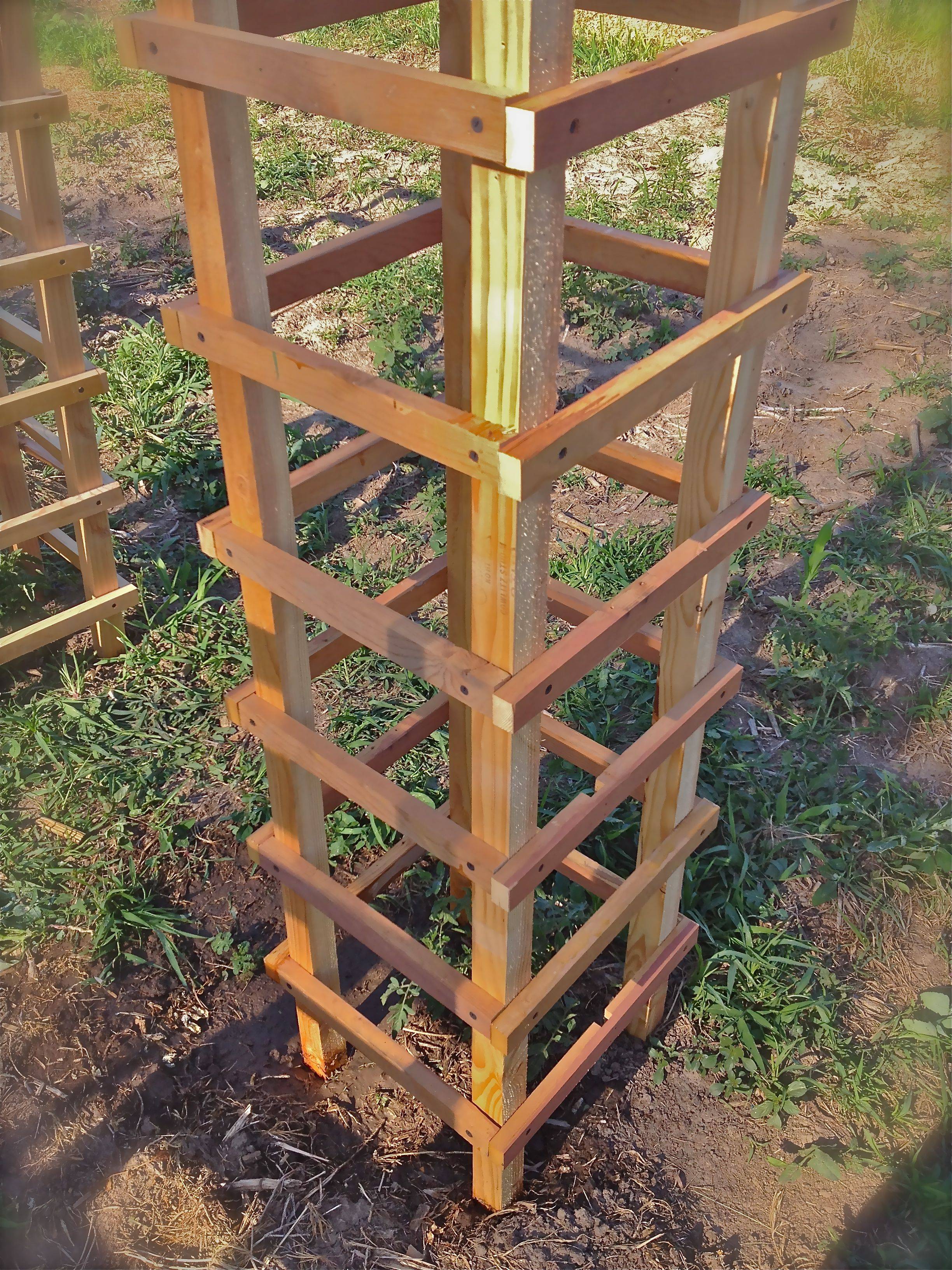 Tomato Garden Ideas Youtube