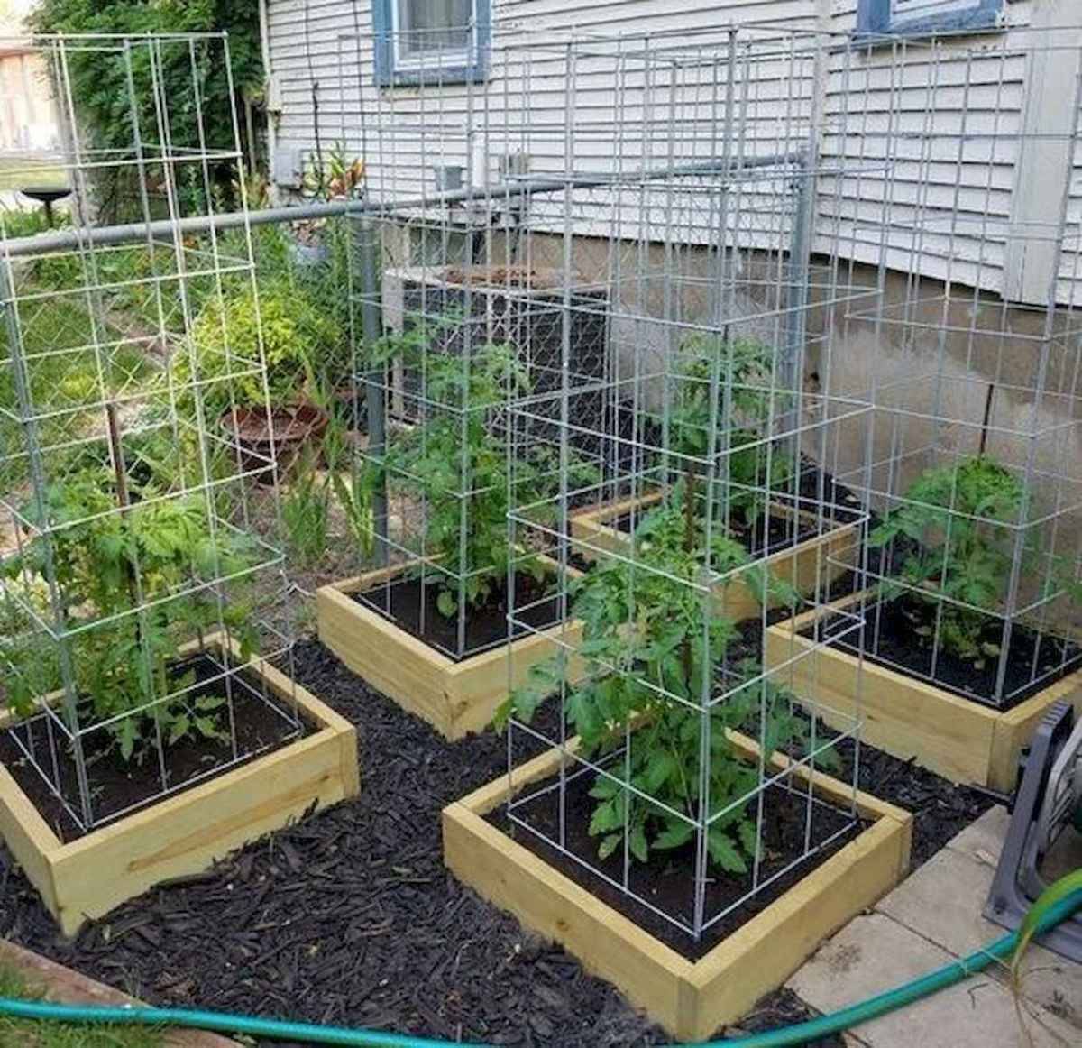 Beautiful Summer Container Garden Flower Ideas