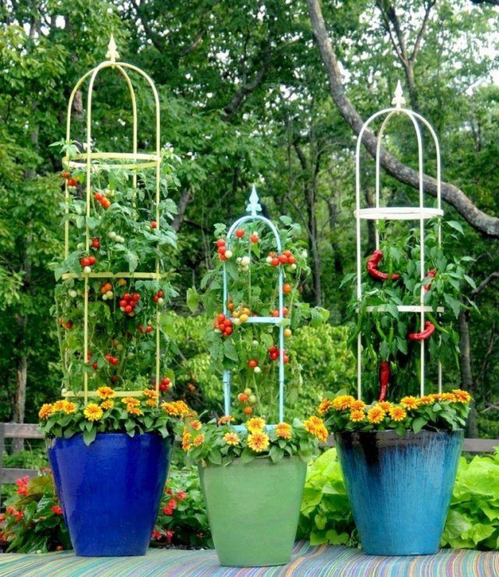 Diy Tomato Cages