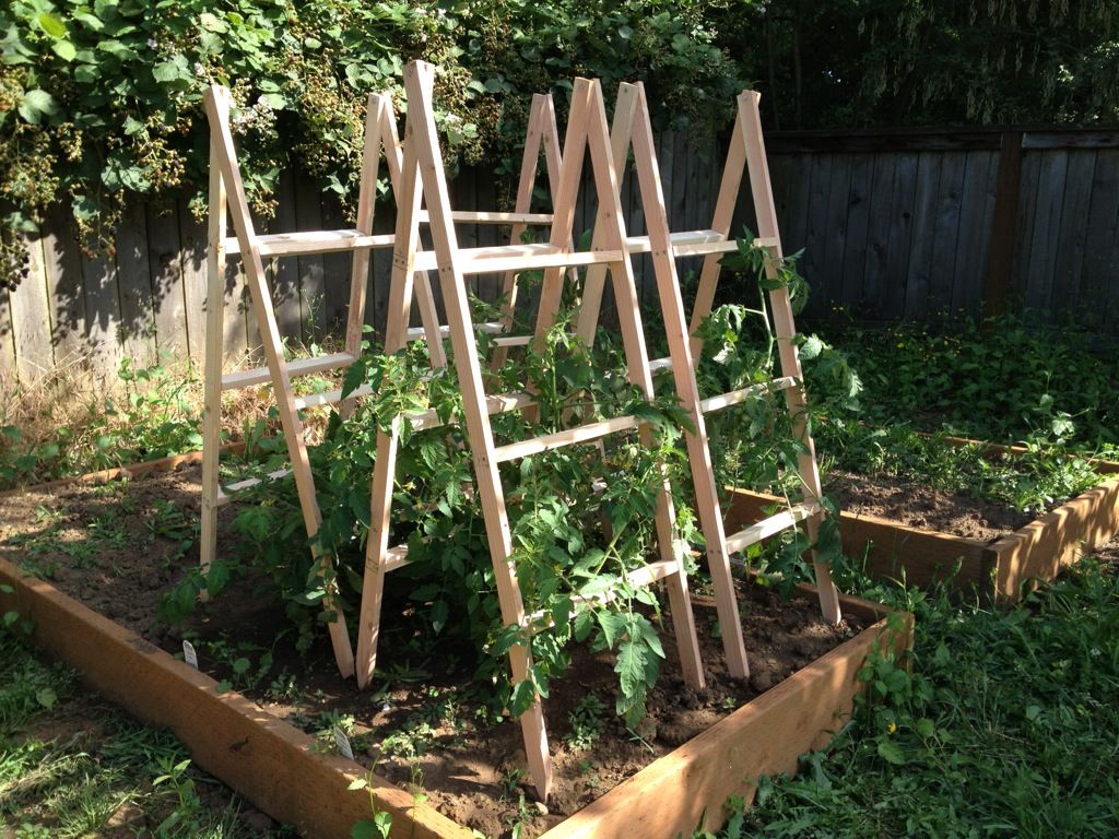The Natural Gardener Natural Garden