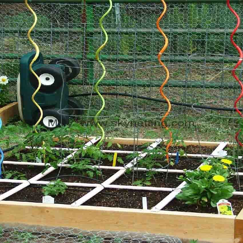 Tomato Stakes