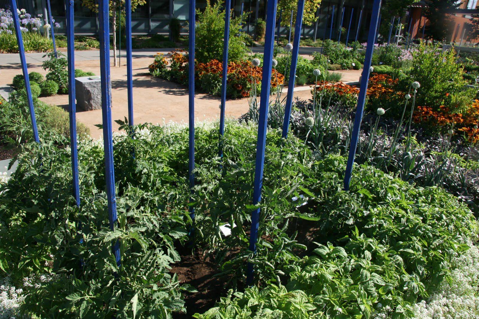 Garden Planning