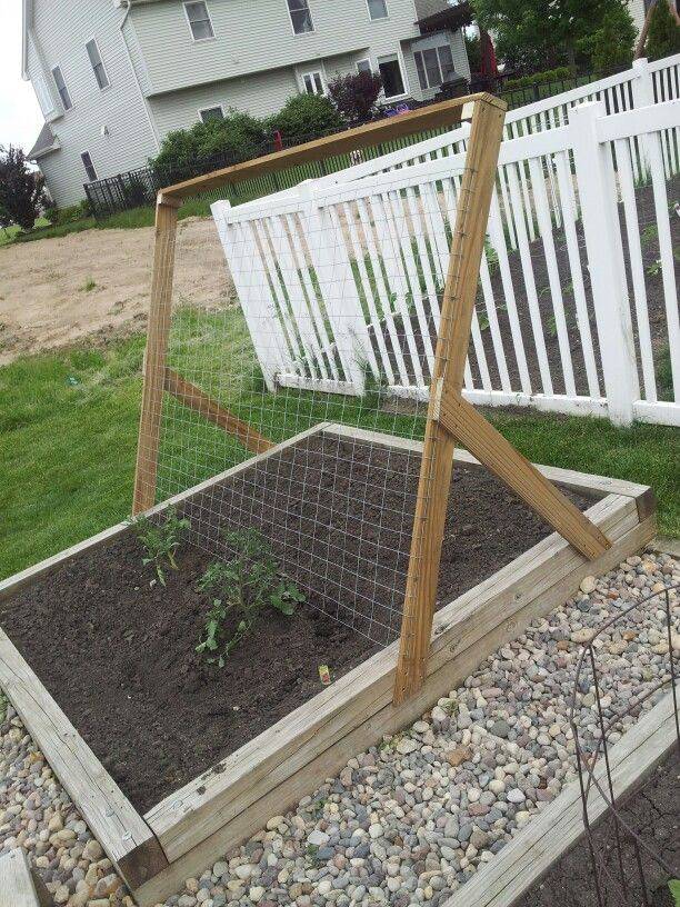 Creative Diy Tomato Trellis Ideas