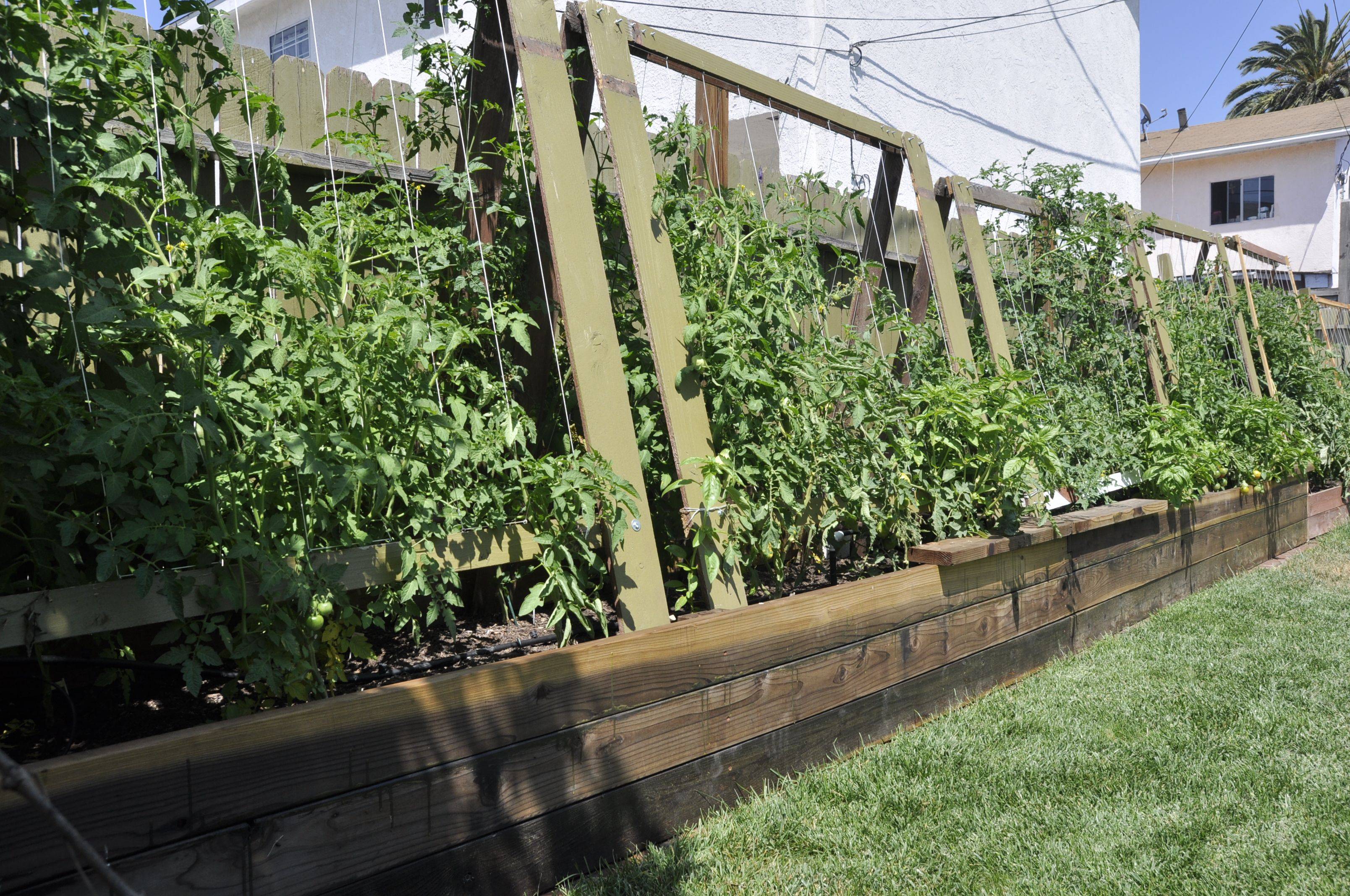 Vegetable Trellis