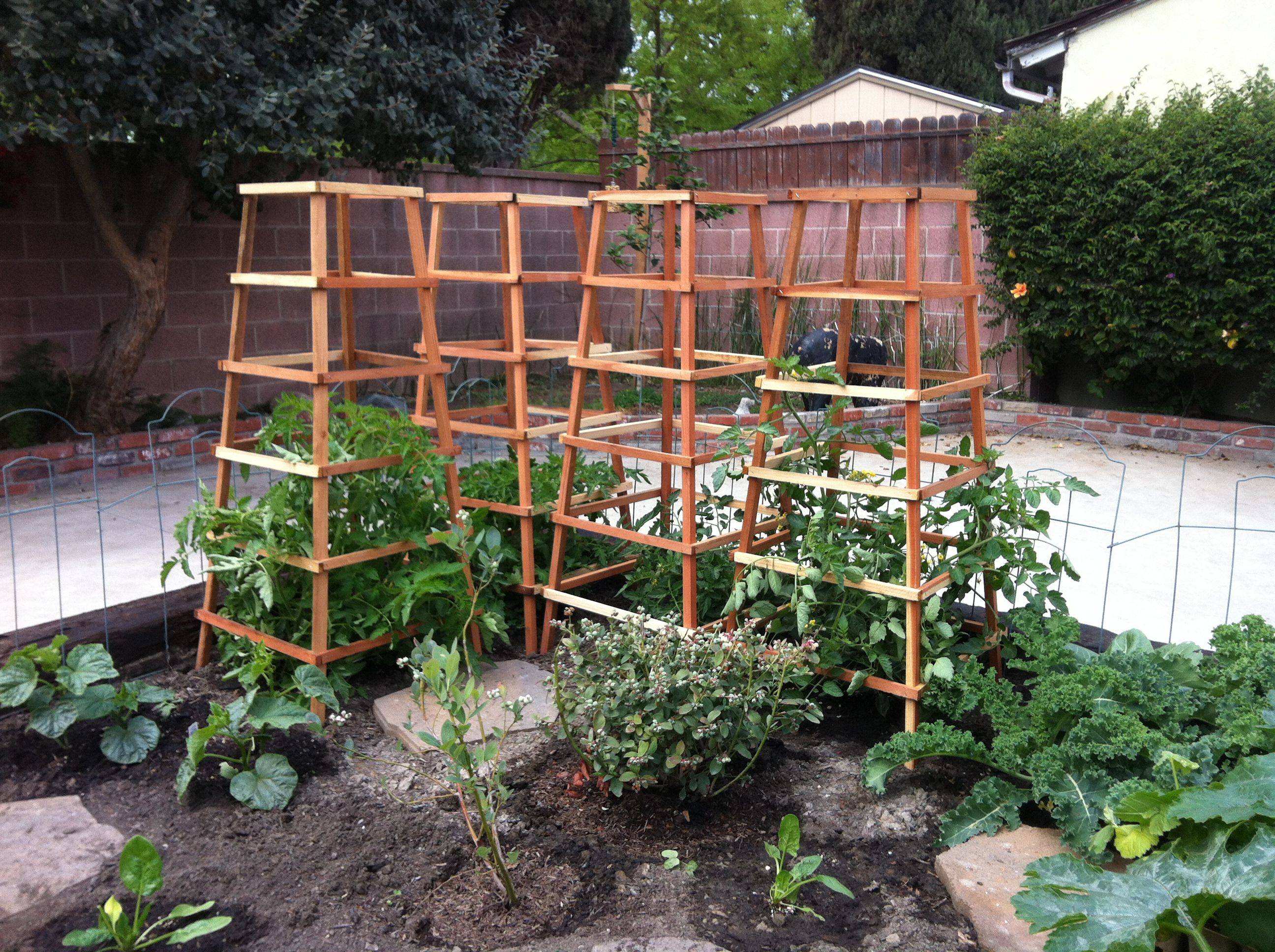 24 Garden Trellis Tomato Plant Ideas You Should Check SharonSable