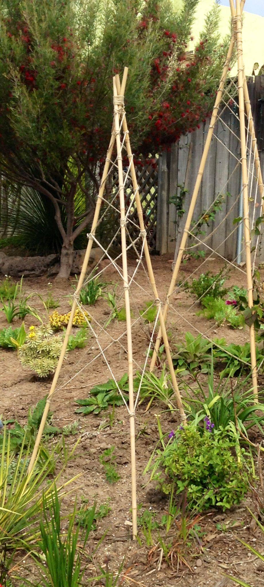 Tomato Trellis Designs Completely Free