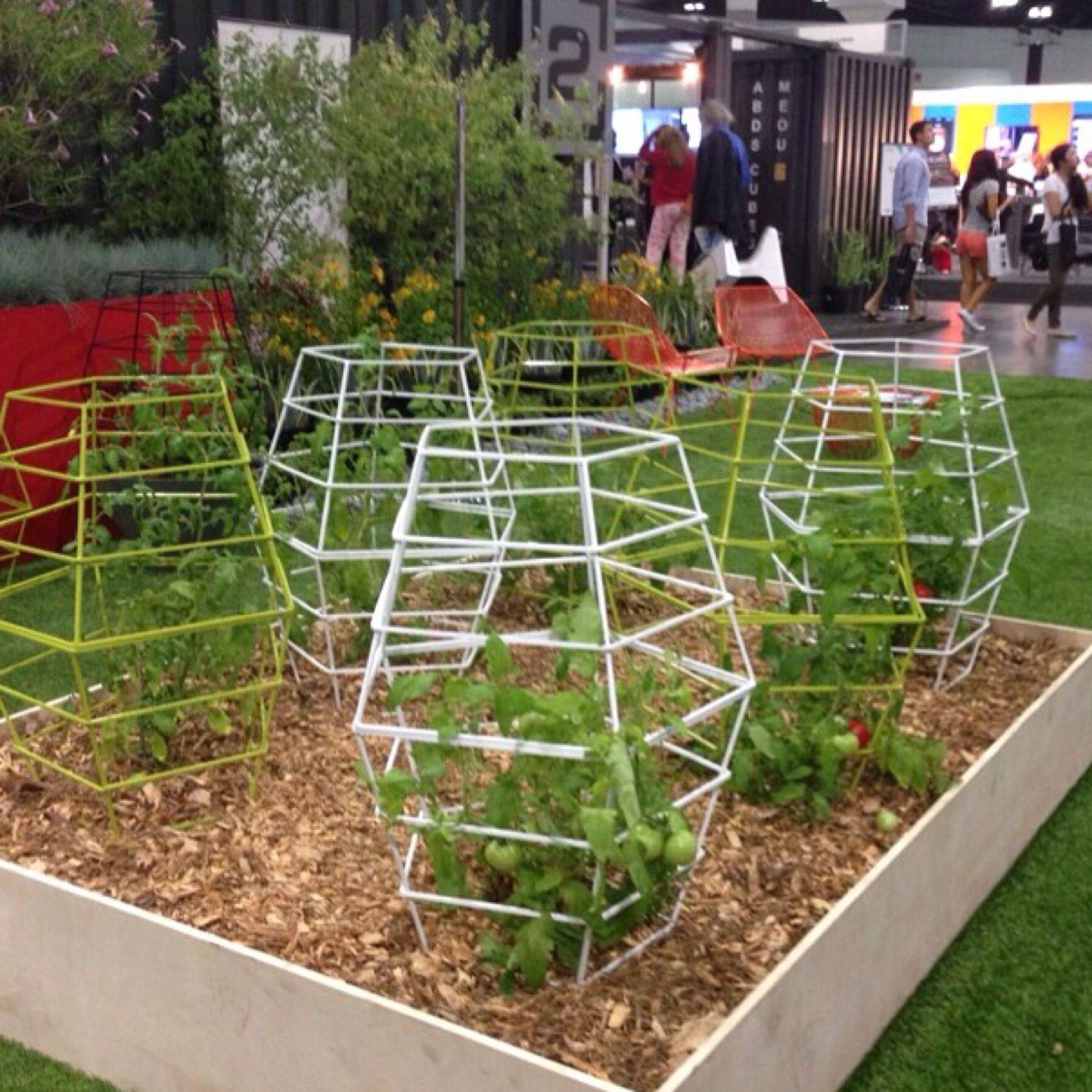 Backyardideas Tomato Trellis