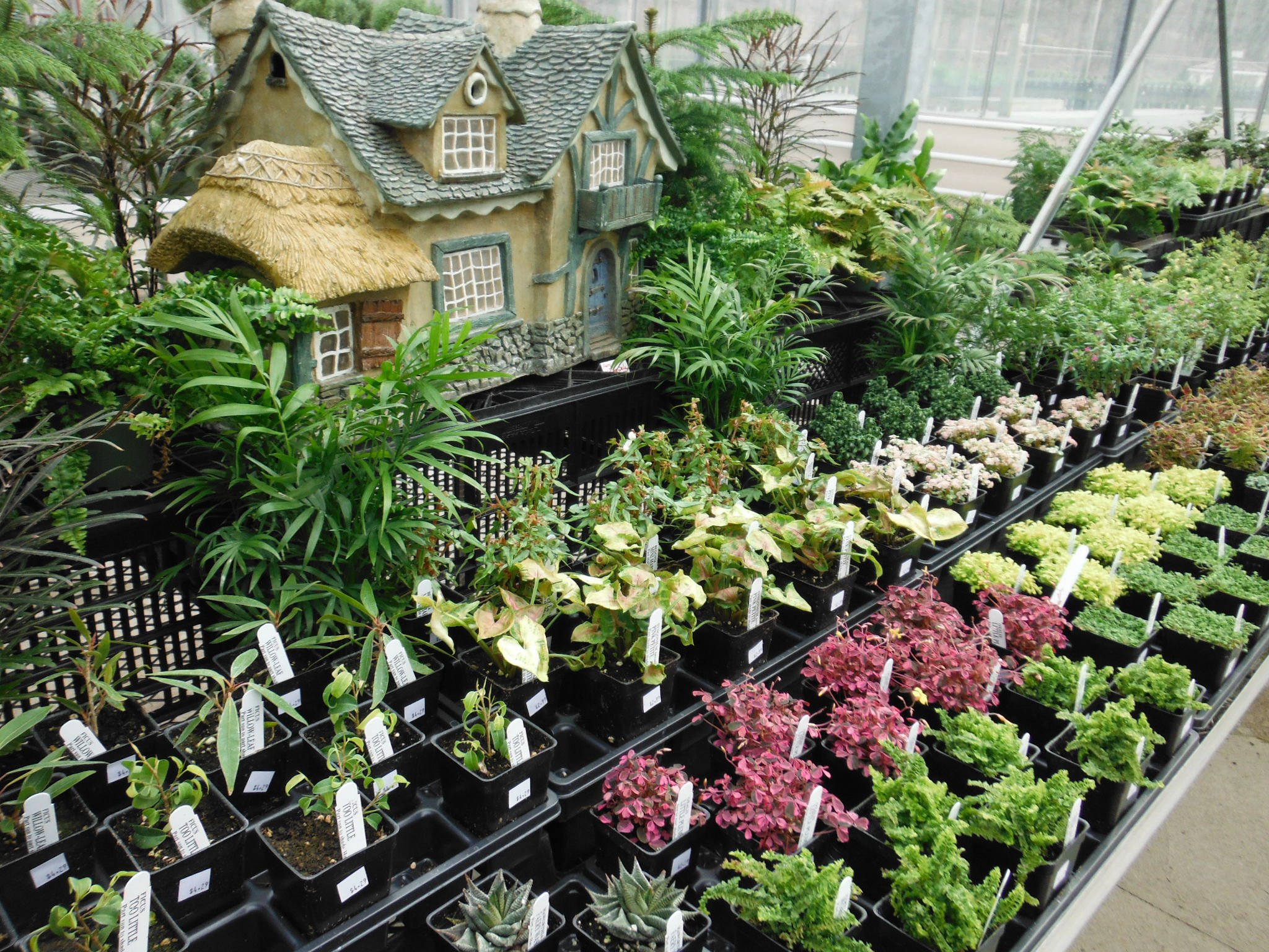 Front Yard Garden Ideas