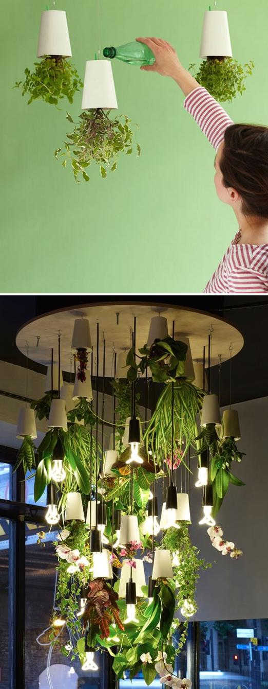 Unusual Vegetable Garden Ideas