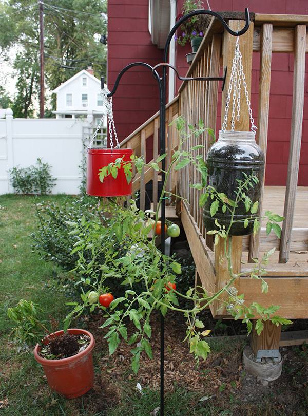 Diy Upsidedown Planter Ideas
