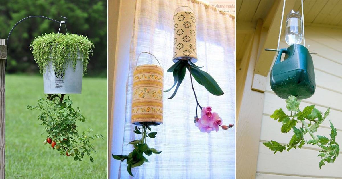 Diy Upsidedown Planter Ideas