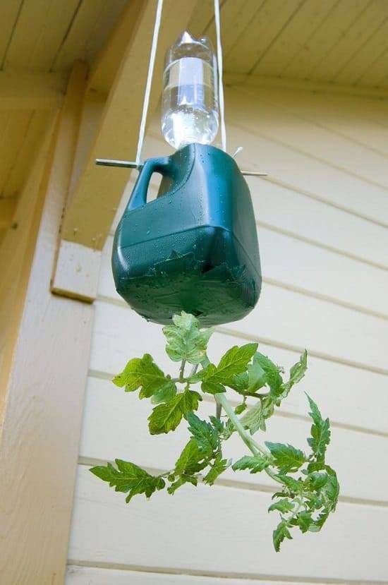 Diy Upsidedown Planter Ideas