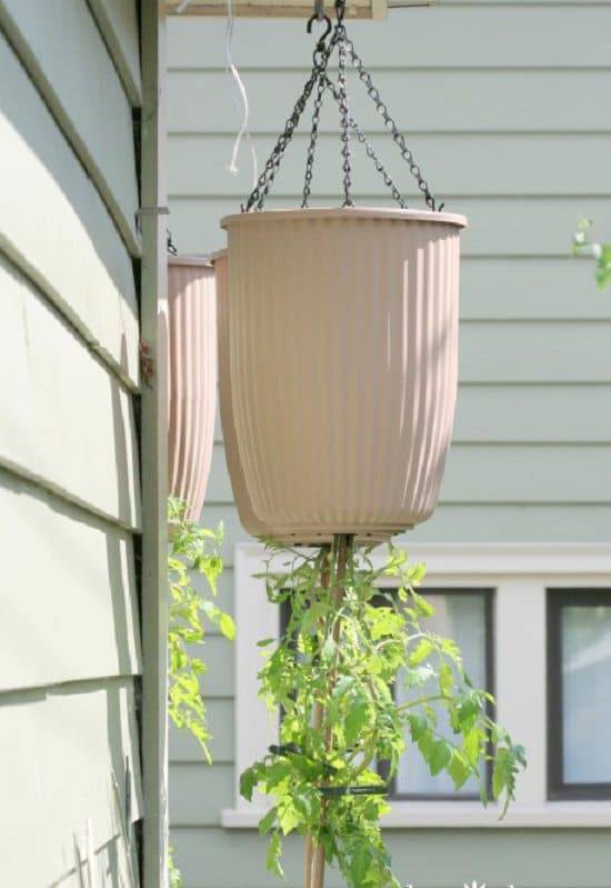 This Upside Down Planter Hanging Plants