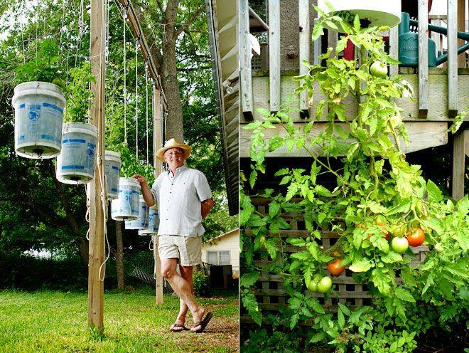 Bucket Instructions Gardening Tips