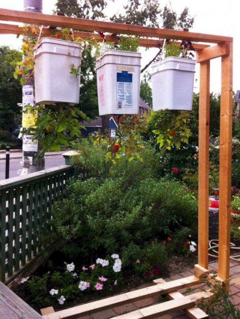 Upside Down Indoor Plants Pretty Cool Idea Gardening