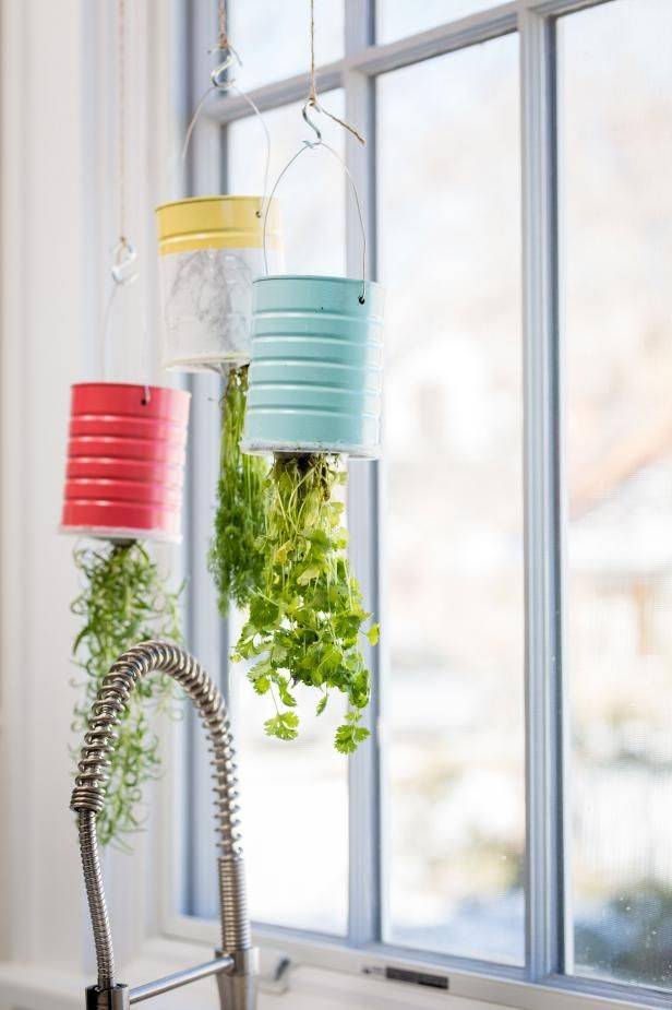 Your Plant Perspective Patio Garden