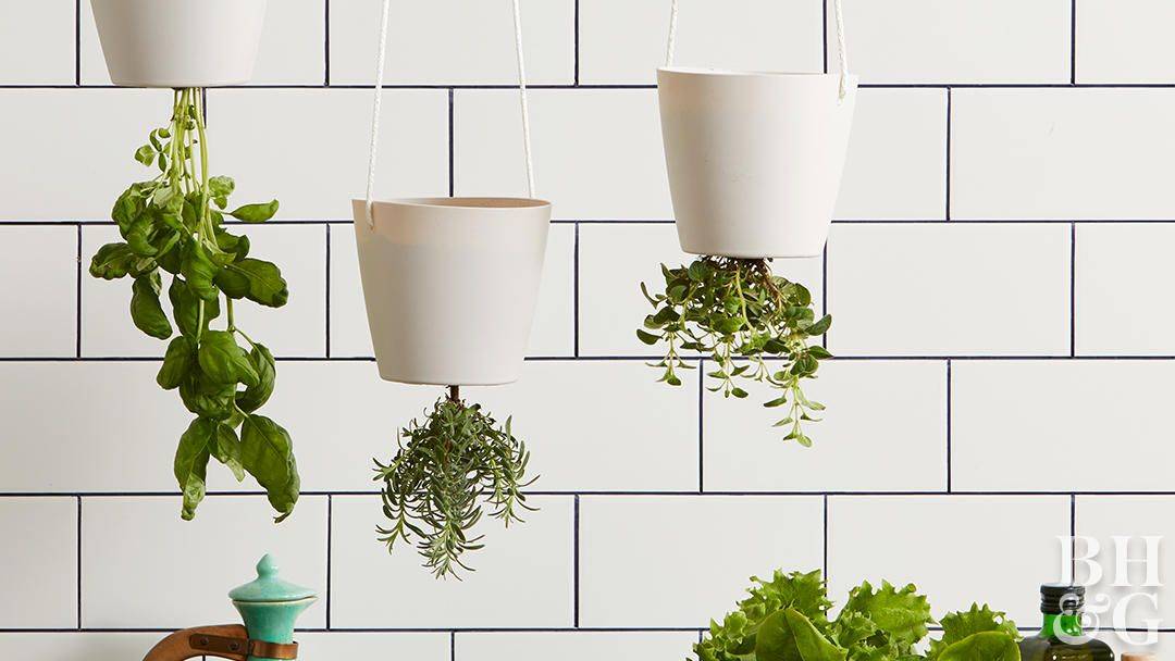 Diy Upsidedown Planter Ideas