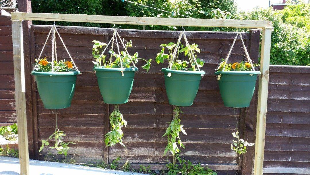 21 Upside Down Patio Garden Planter Ideas You Cannot Miss SharonSable