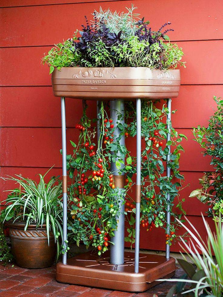 Cozy Crop House