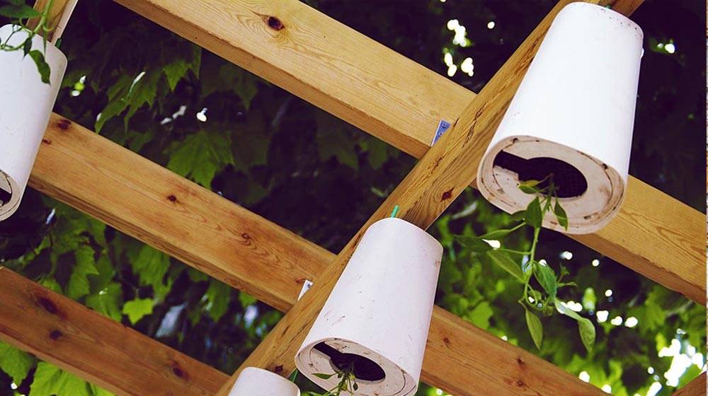 Upside Down Patio Garden Tomato Planter Garden Design Ideas