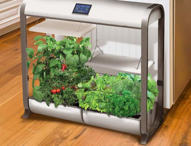 Salad Bar Seed Pod Kit Black