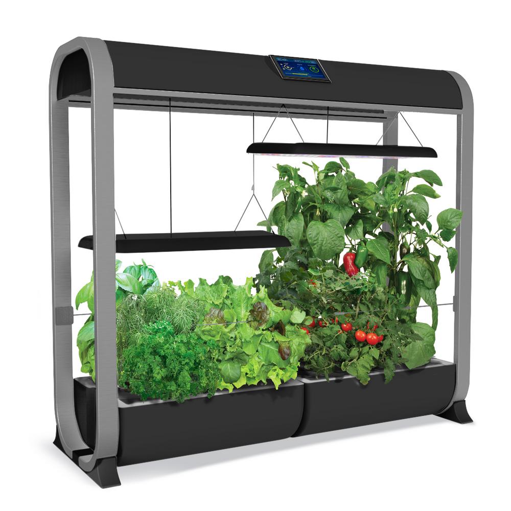 Your Own Vegetable Garden Indoor Gardening