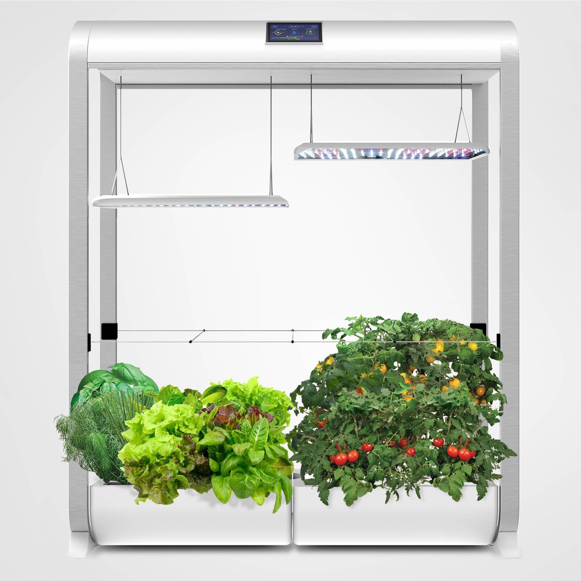 Easy Setup Healthy