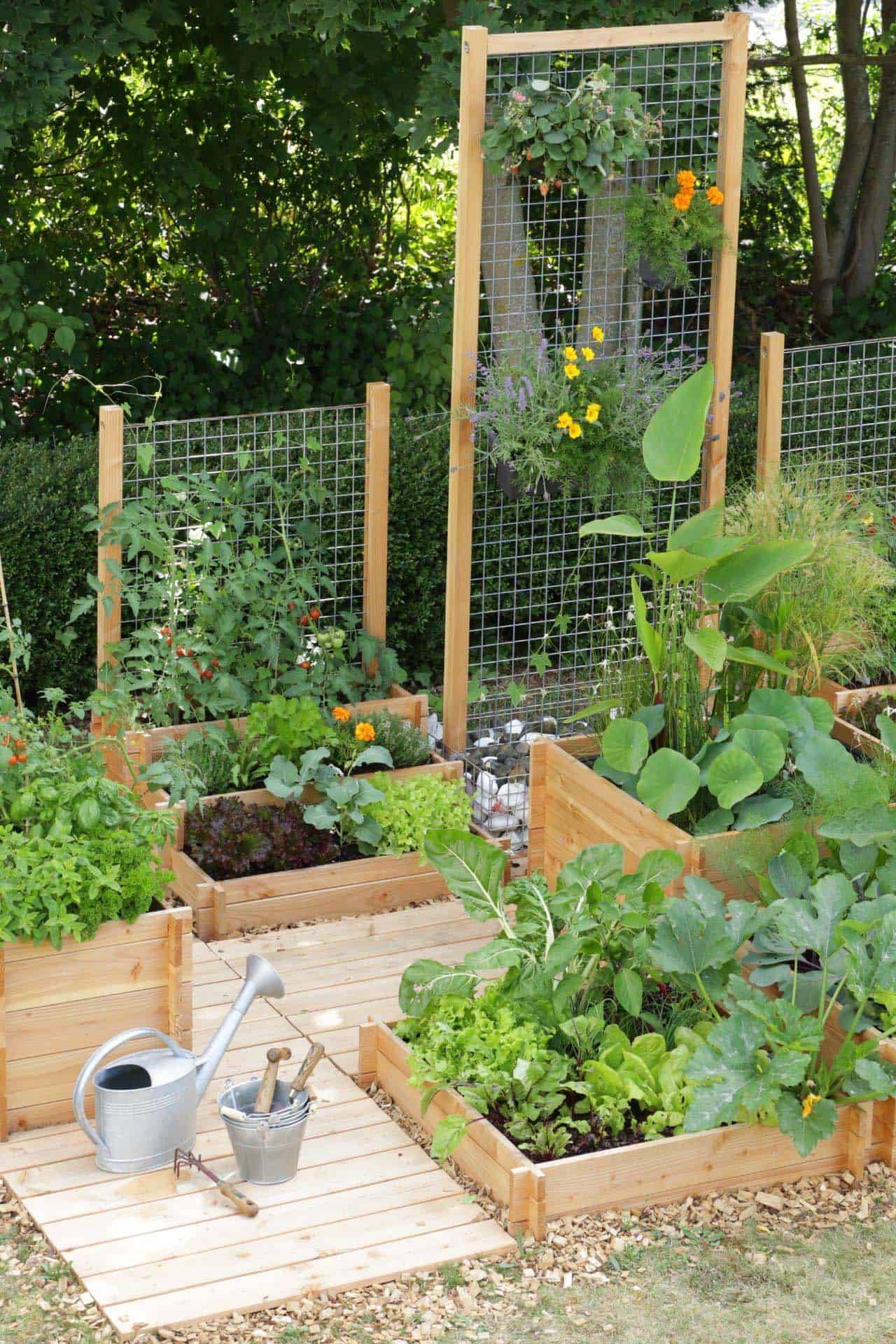 Herb Vegetable Garden Ideas