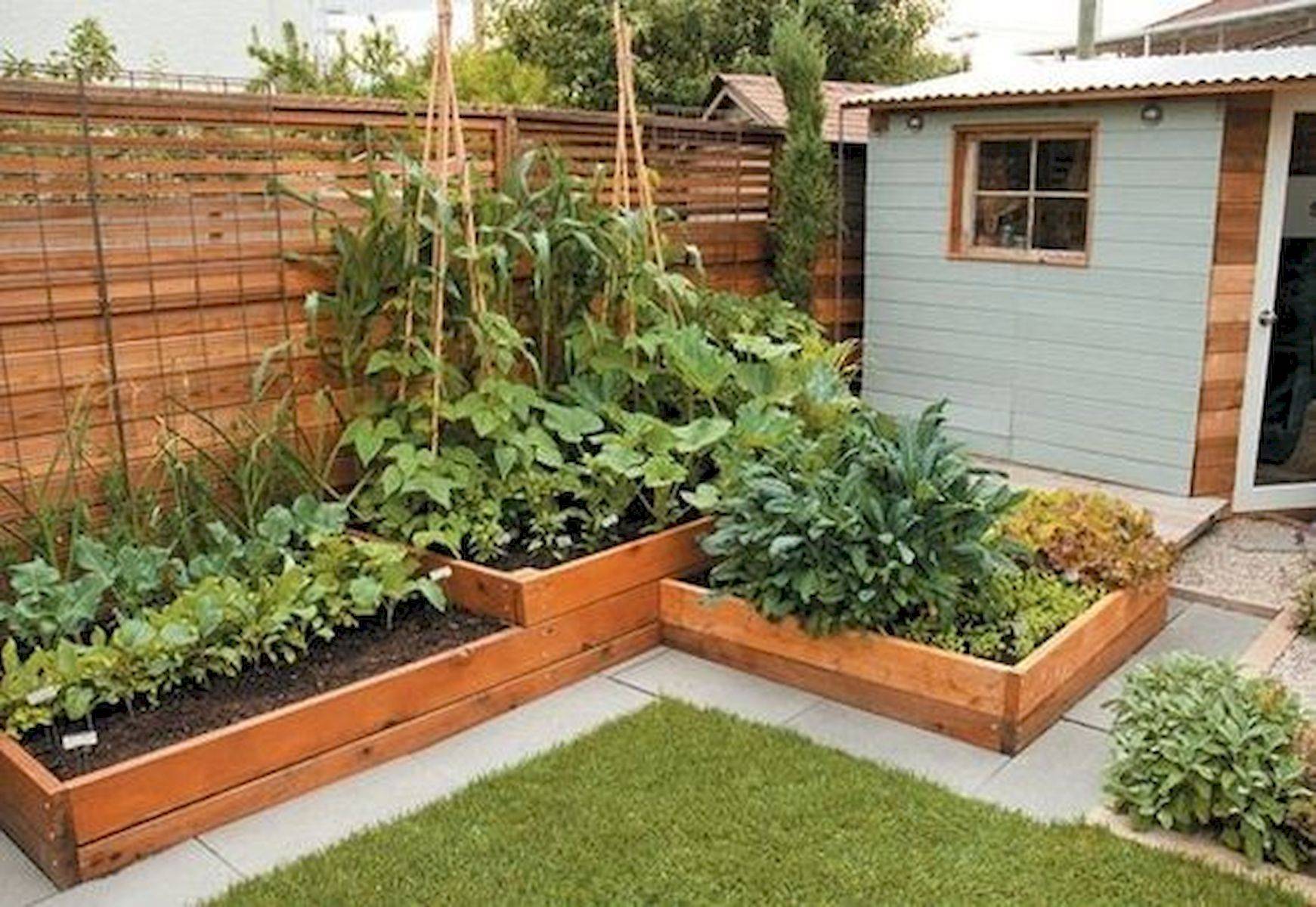 Beautifuly Colorful Vegetable Garden Design Ideas Page