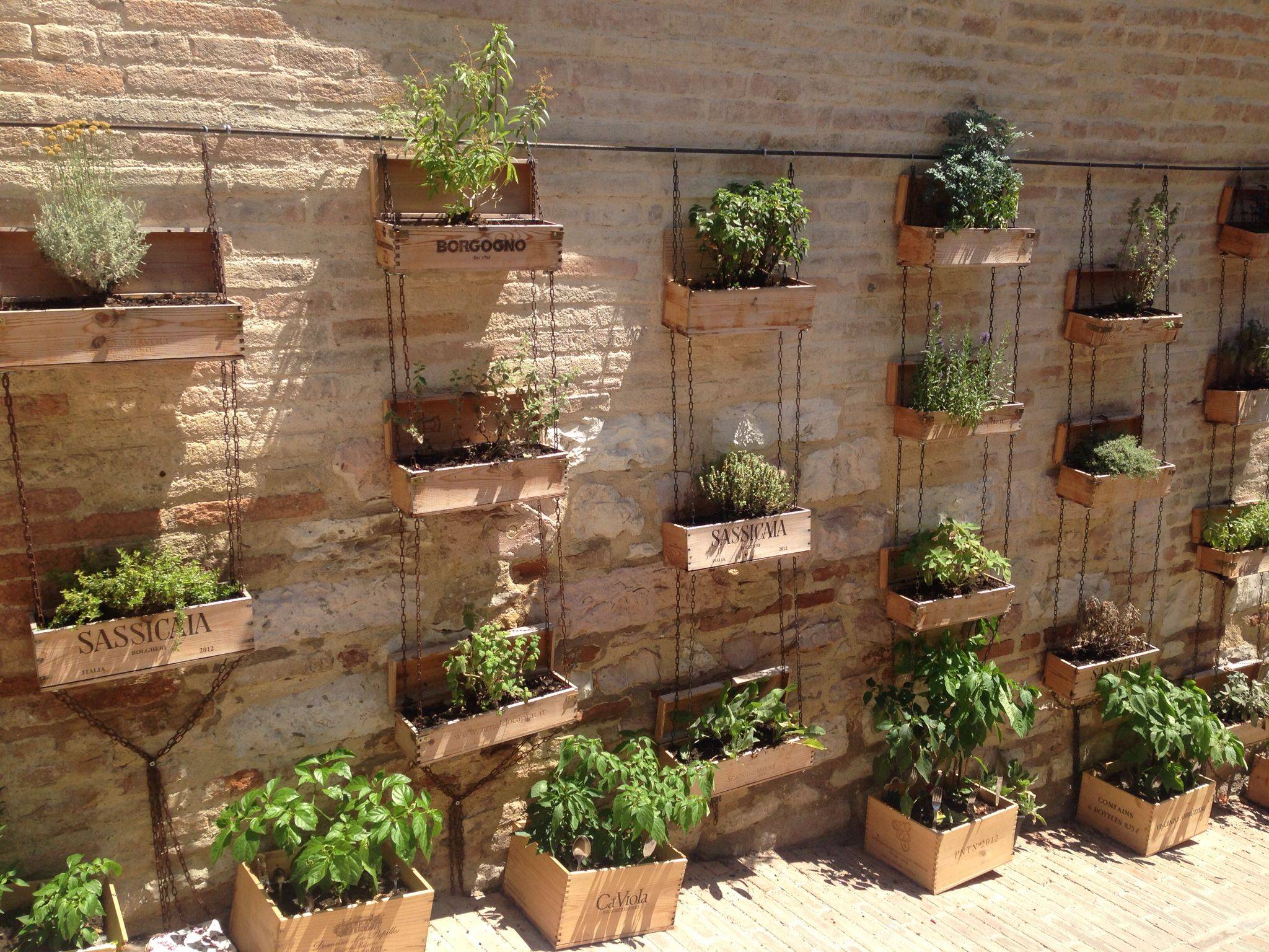 25 Herb Garden On Fence Ideas To Consider SharonSable