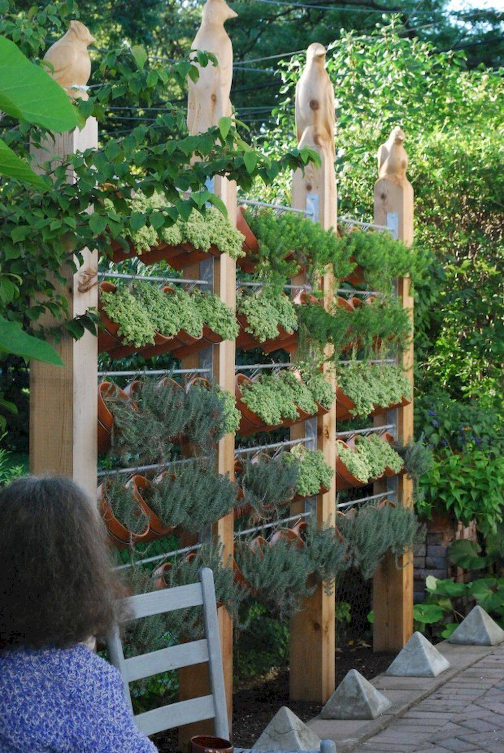 Fence Grden Plant