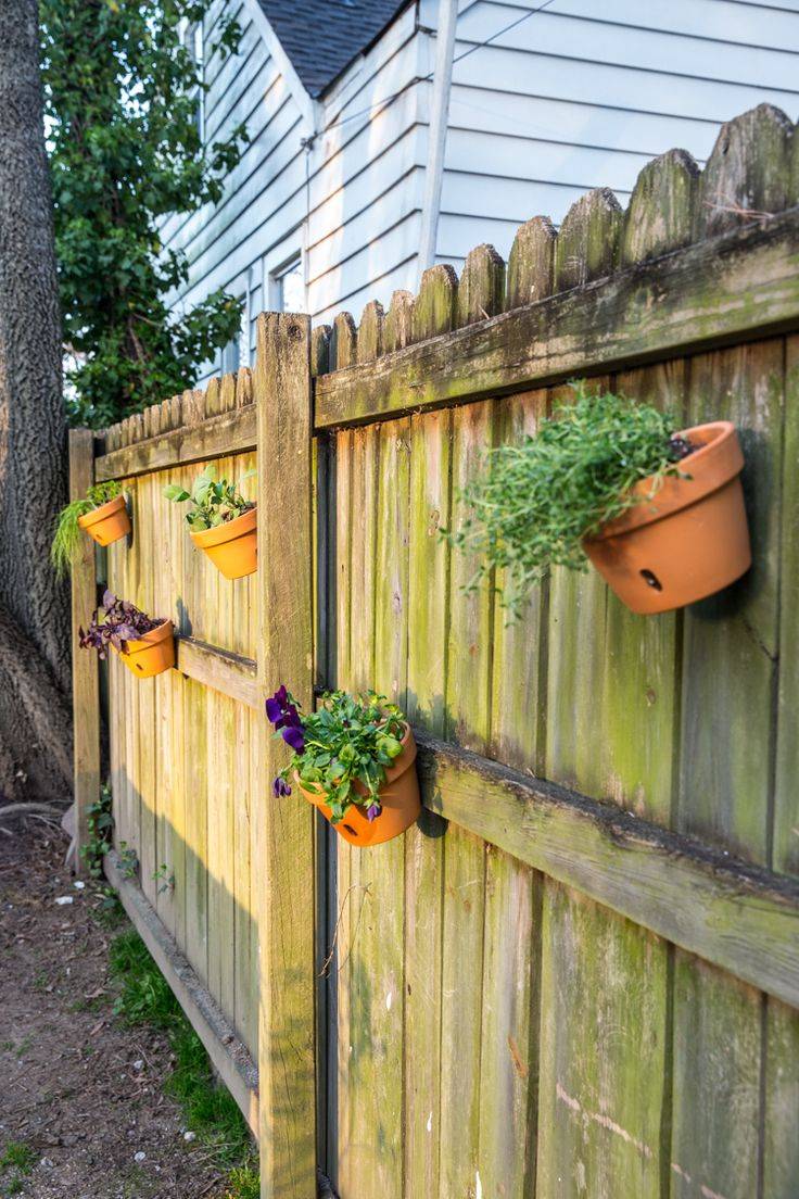 A Vertical Herb Garden