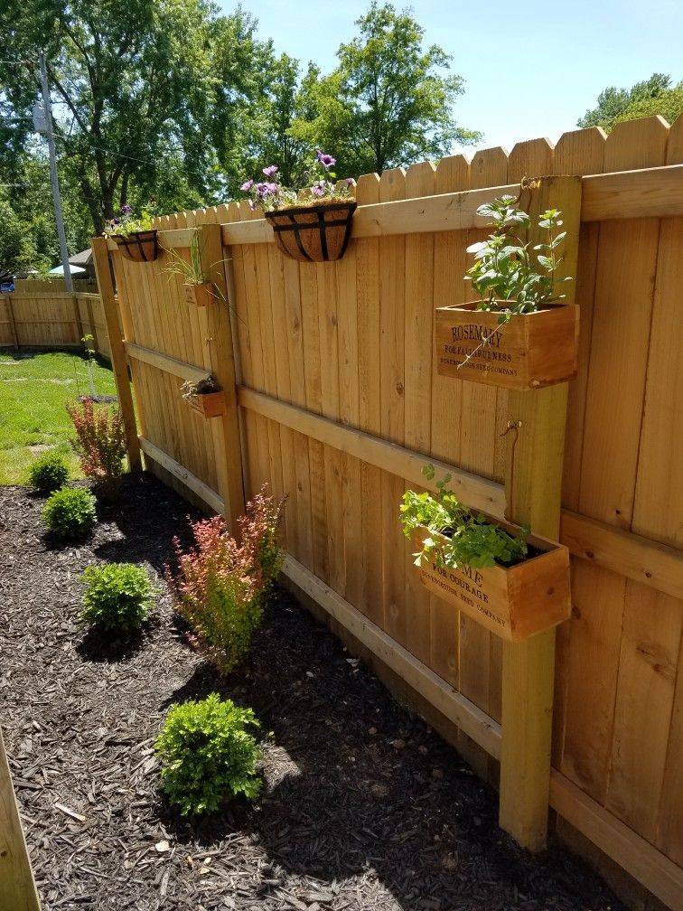 25 Herb Garden On Fence Ideas To Consider SharonSable