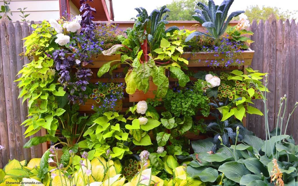 Affordable Backyard Vegetable Garden Designs Ideas Roundecor