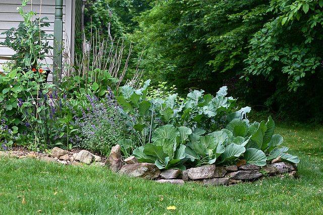 Horticulture Therapy