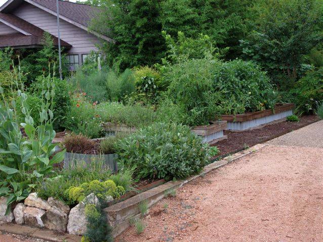 Edible Landscaping