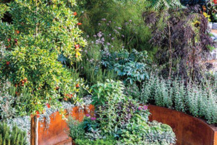 Edible Landscape Project