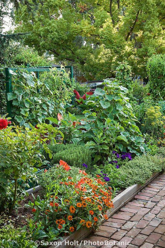 25 Edible Shade Garden Ideas To Consider SharonSable