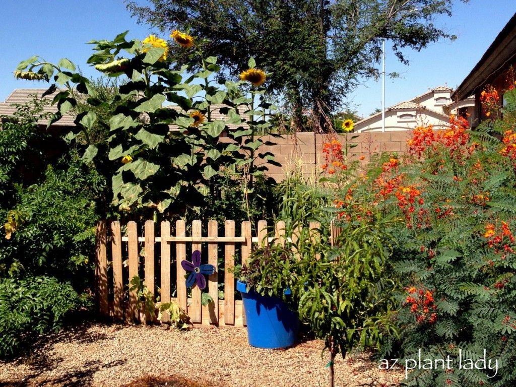 Shade Garden Design Tips Garden Gate