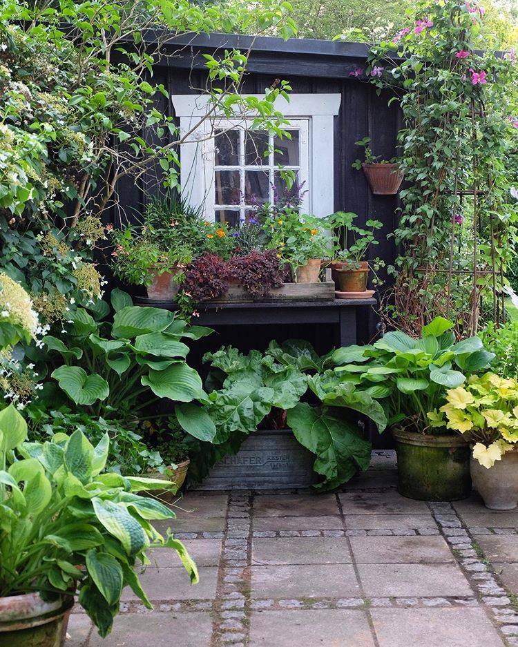 Small Backyard Ideas