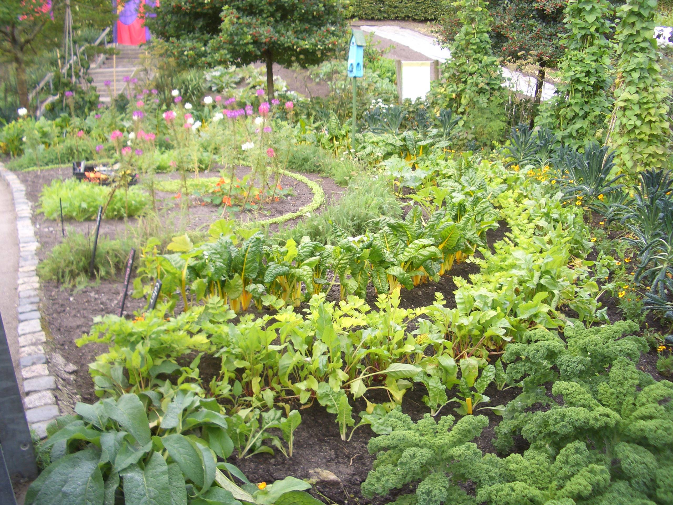 Wooded Garden Shade Garden Design