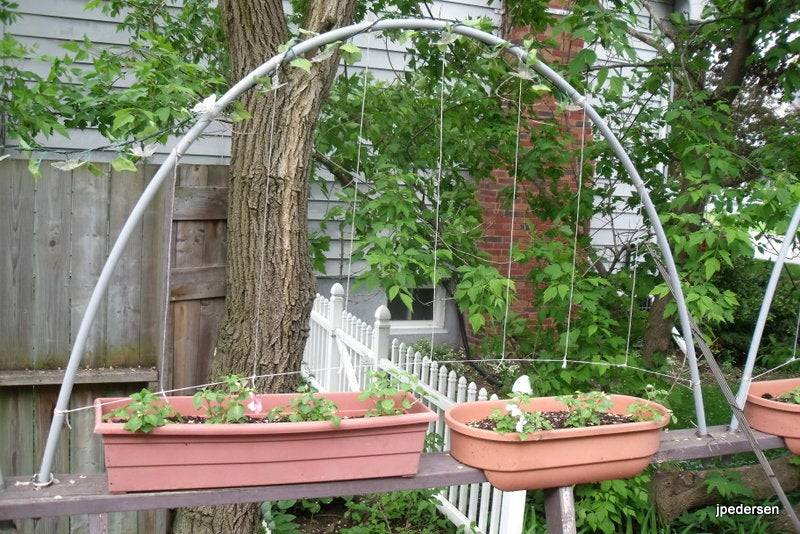 Beautiful Edible Gardens