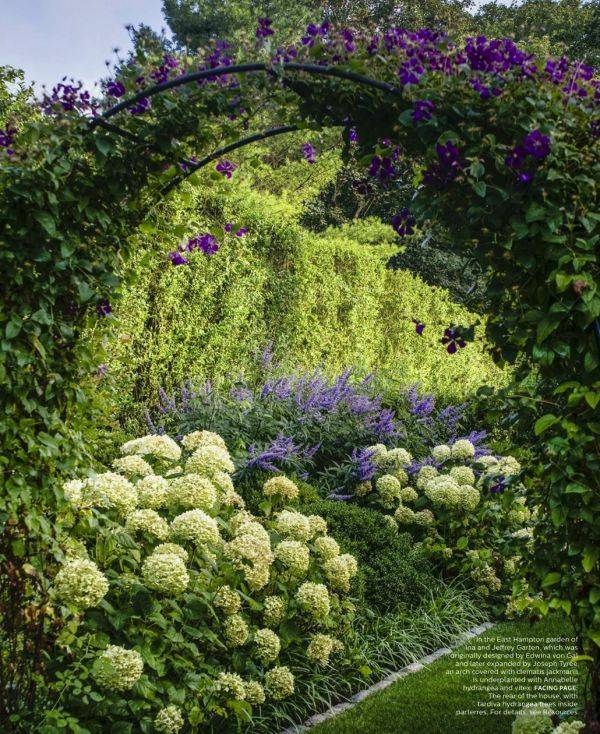 Garden Delight