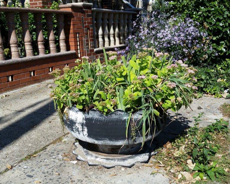 Our Woodland Garden Ideas