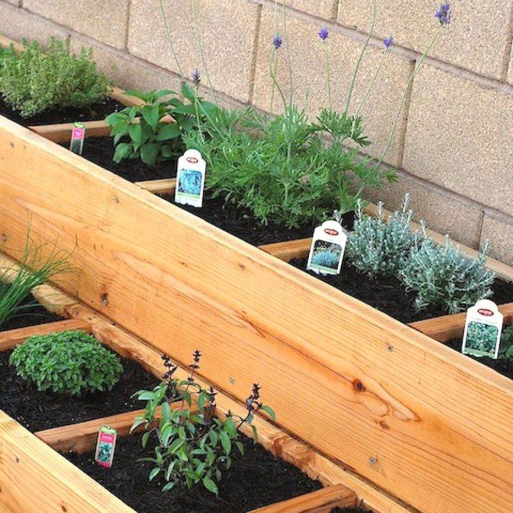 Herb Gardening