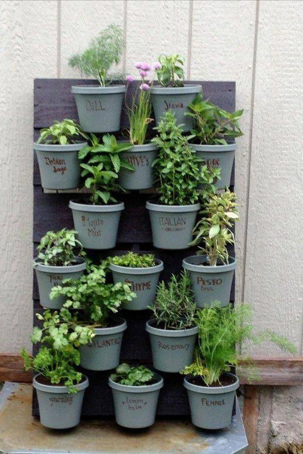 Simple Apartment Herb Garden Designs