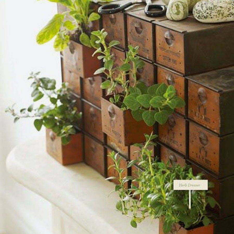 Herb Garden Pallet